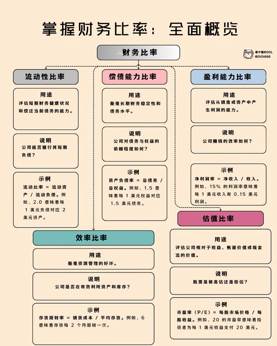 掌握财务比率:全面概览